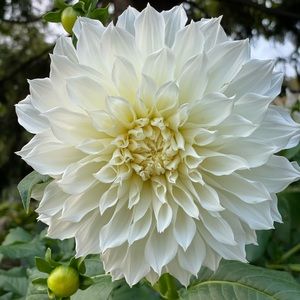 Meet your Posher, Lorena